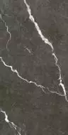 610010002747 Микеланджело Дарк 60x120